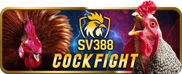 Cơ hội trúng Jackpot lớn tại vj999
